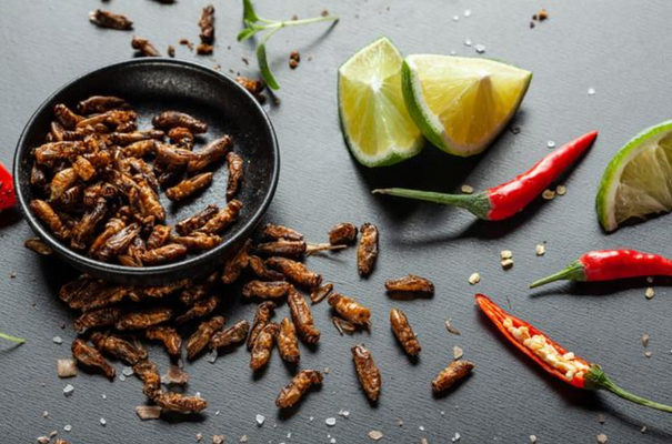 Sens Křupaví a pražení cvrčci - Chilli & Limetka 16 g