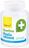 Wolfberry Kyselina hyaluronová 120 kapslí