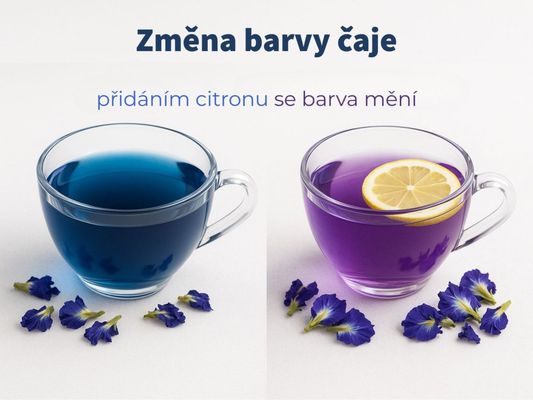 Botanic Klitorie ternatská - Modrý čaj 50 g