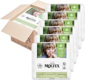 Moltex Plenky Pure Maxi 7-14 kg - ekonomické balení 6 x 29 ks