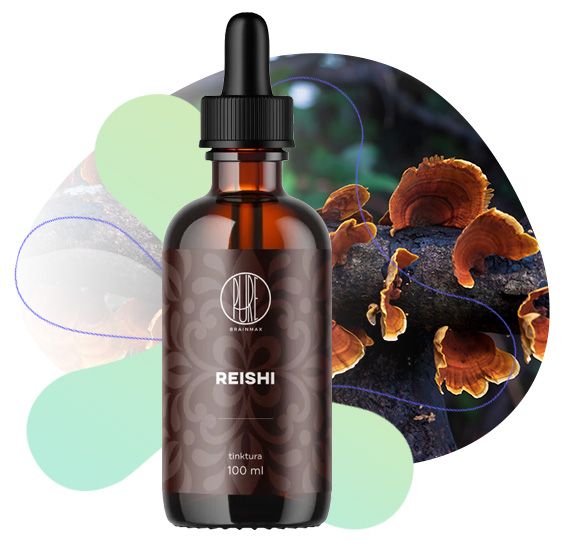 Reishi, imunitný systém, obranyschopnosť organizmu