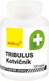 Wolfberry Kotvičník zemní - tribulus terrestris 120 kapslí