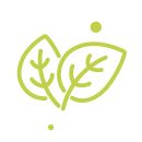 Co obsahuje antioxidanty