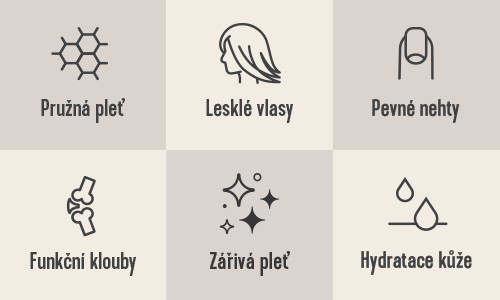 pohyb a sport