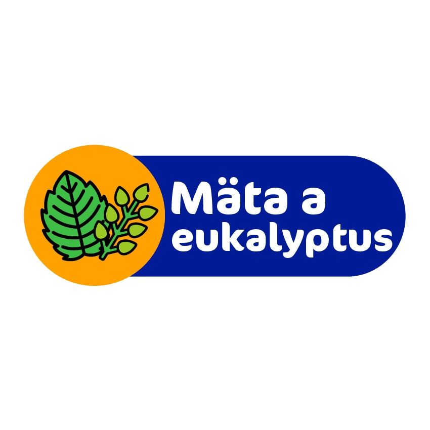 máta a eukalyptus