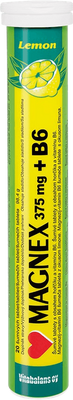 Magnex 375 mg + B6 12 x 20 šumivých tablet
