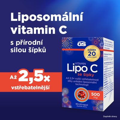 GS Vitamin Lipo C 500 mg se šípky 110 kapslí
