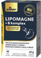 Vitar Lipomagne + B komplex 20 x 2 g