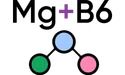 magne B6