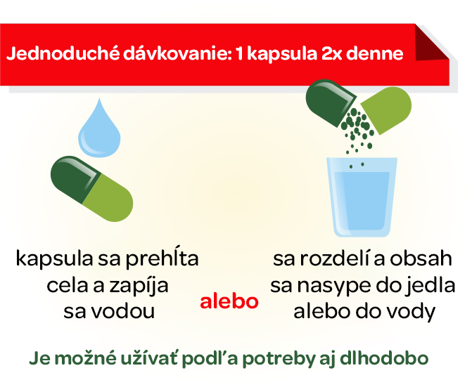 Terezia, Hliva ustricna, čaga, přírodní antioxidant