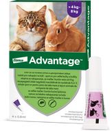Advantage Malé Kočky 80 mg + králíci Spot-on 4 x 0.8 ml