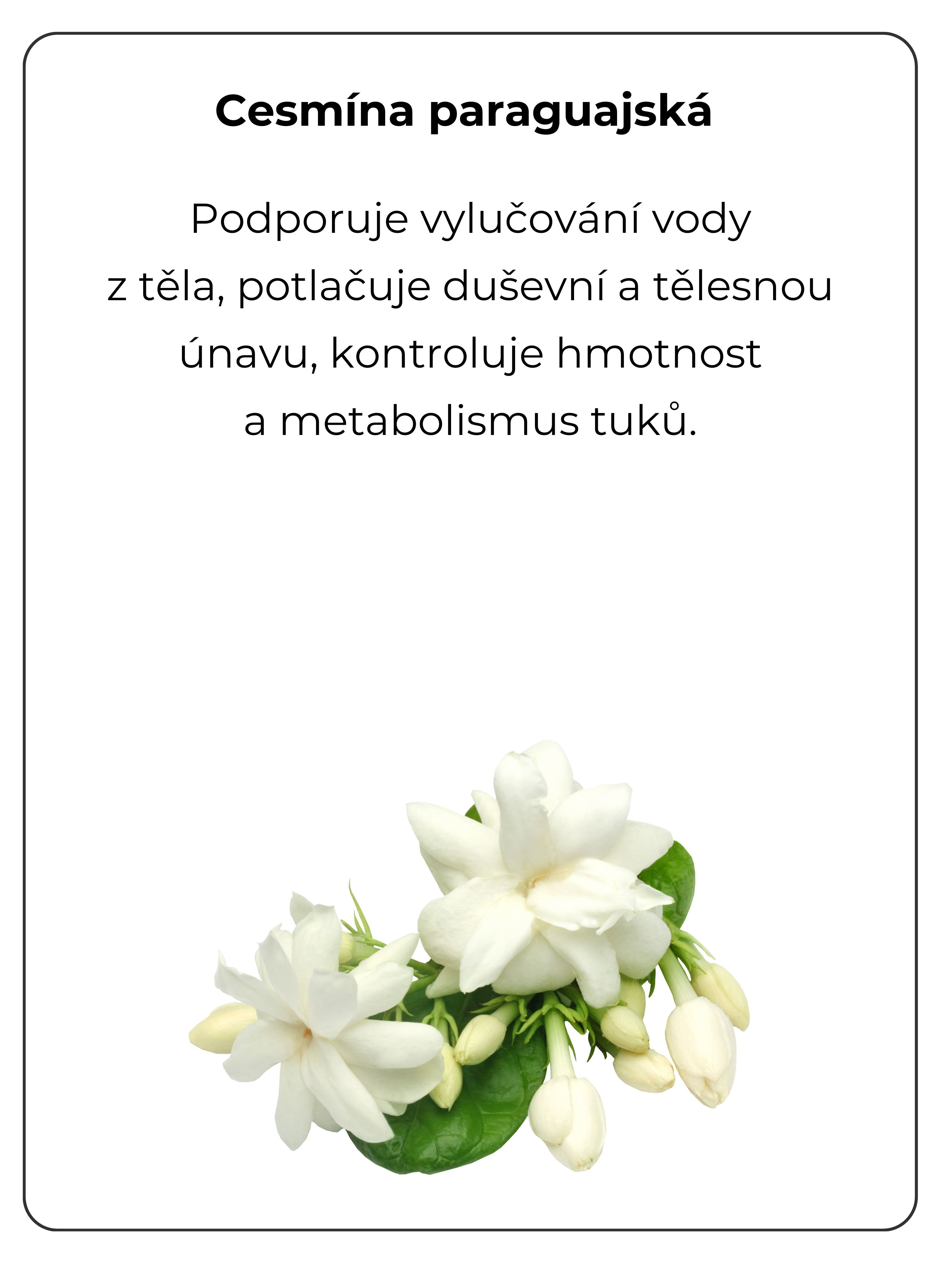 hubnutí a udržení hmotnosti, detoxikace, podpora vitality a energie