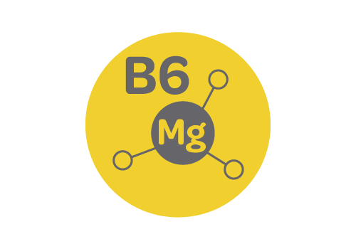 Magne B6 Forte, doplněk stravy s hořčíkem a vitamínem B6, přispívá ke snížená únavy a vyčerpání, energetický metabolismus, psychické zdraví, nervová soustava, K normální činnosti svalů a k normálnímu stavu kostí a zubů