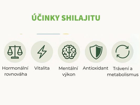 Botanic Shilajit - 80 % kyseliny fulvové 30 kapslí