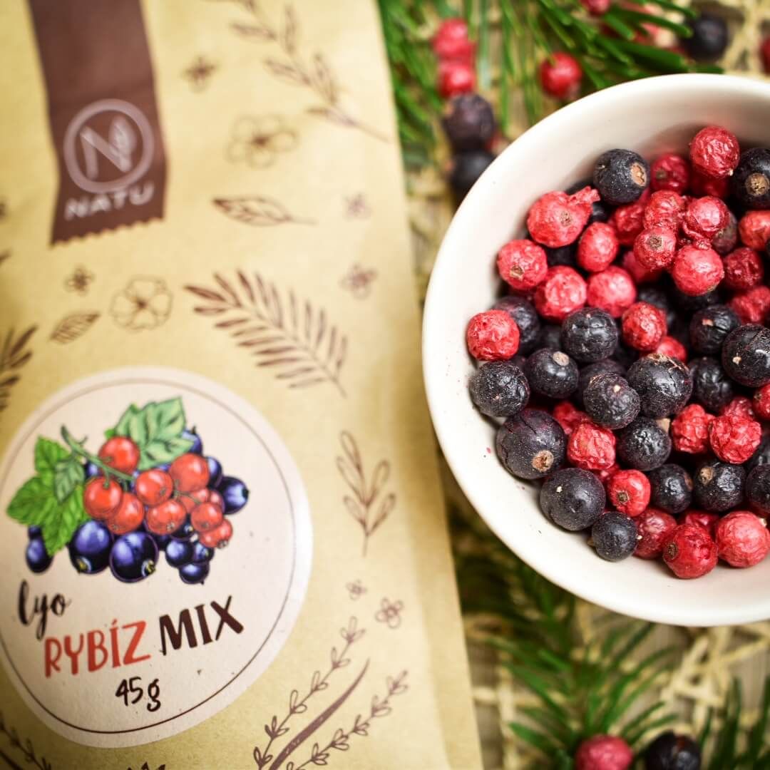 Natu Lyo mix rybíz 45 g