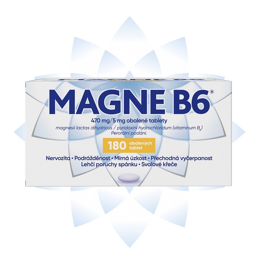 složení magne b6