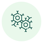 ikona