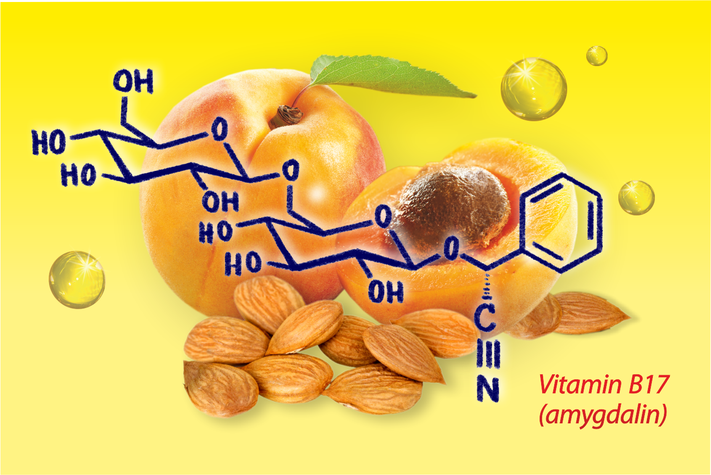 Terezia, B17 Apricarc, silná kombinace přípravku, meruňková jádra - obsahují amygdalin a vysoký osah B17, vitamín A v přírodní formě, imunita, obranyschopnost, trávení