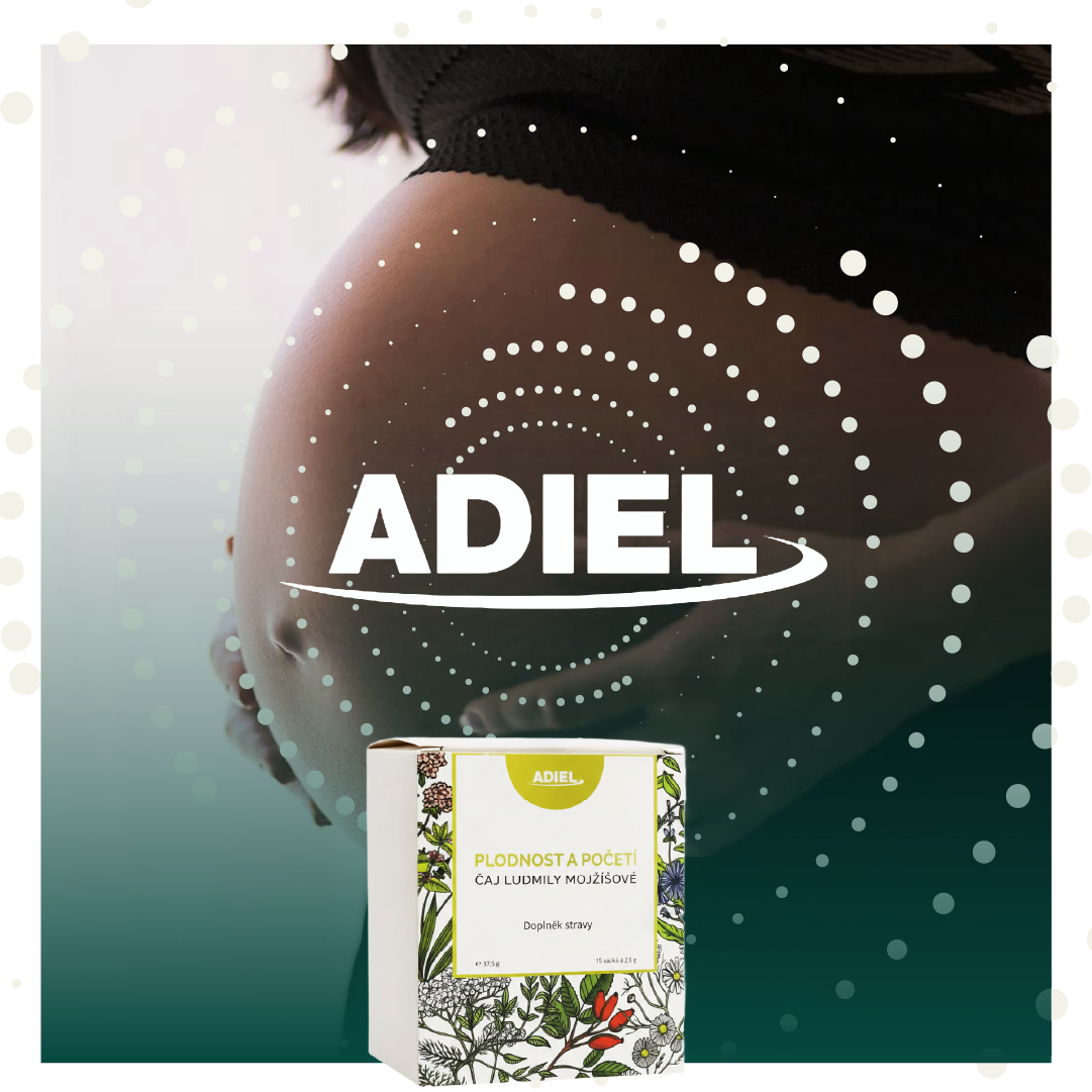 Adiel Čaj Ludmily Mojžíšové n.s.15x2.5g 15 ks 