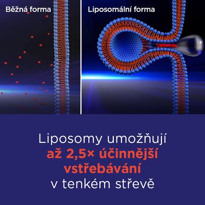 GS Vitamin Lipo C 500 mg se šípky, XXL 110 kapslí