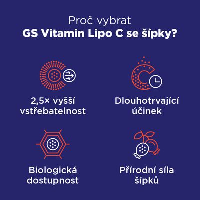 GS Vitamin Lipo C 500mg se šípky 100 kapslí