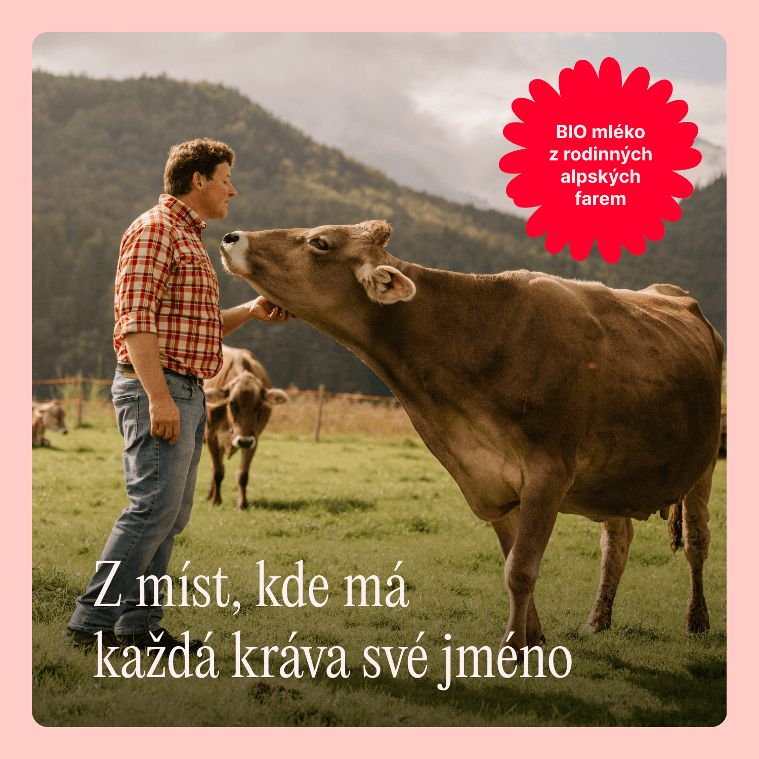 Töpfer BIO 2 pokračovací mléčná kojenecká výživa 600 g