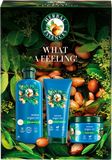 Herbal Essences Sada produktů Argain Oil