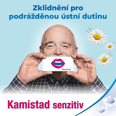 Kamistad ústní gel při zánětu a bolesti dásní 10 g