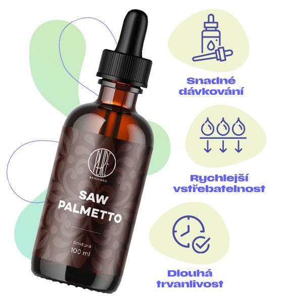 Saw Palmetto, prostata, muž, močové cesty